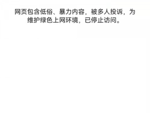 畅览禁止访问网站的浏览器，带你探索未知世界