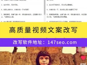 seo 短视频网页入口引流，简单高效的引流方式