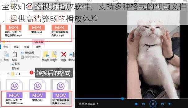 全球知名的视频播放软件，支持多种格式的视频文件，提供高清流畅的播放体验