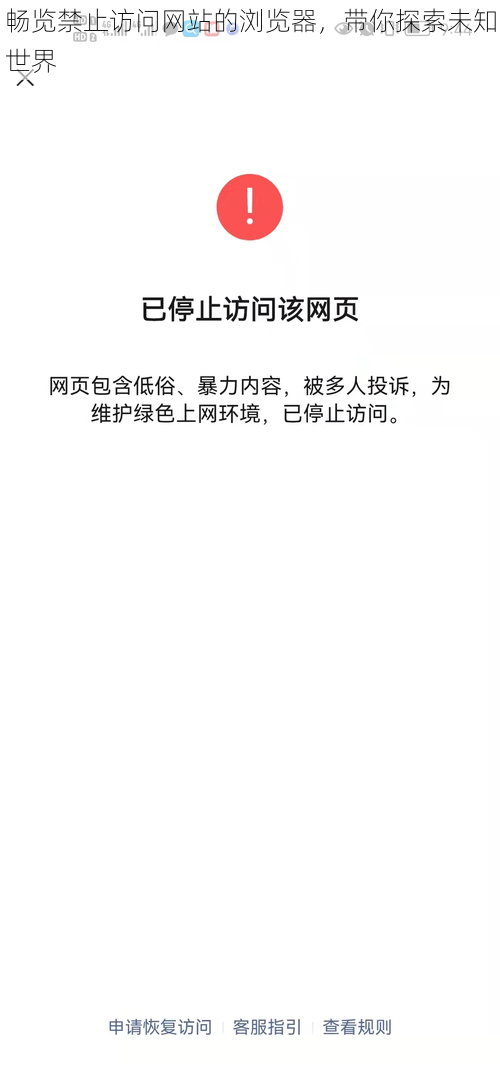 畅览禁止访问网站的浏览器，带你探索未知世界