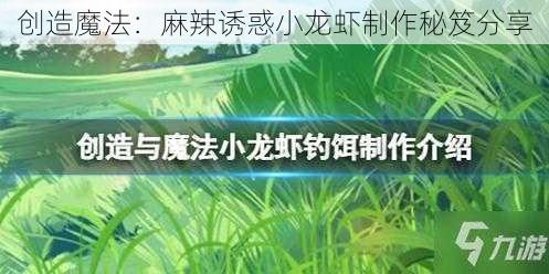 创造魔法：麻辣诱惑小龙虾制作秘笈分享