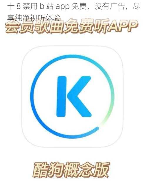 十 8 禁用 b 站 app 免费，没有广告，尽享纯净视听体验