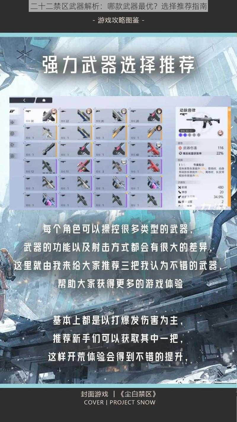 二十二禁区武器解析：哪款武器最优？选择推荐指南