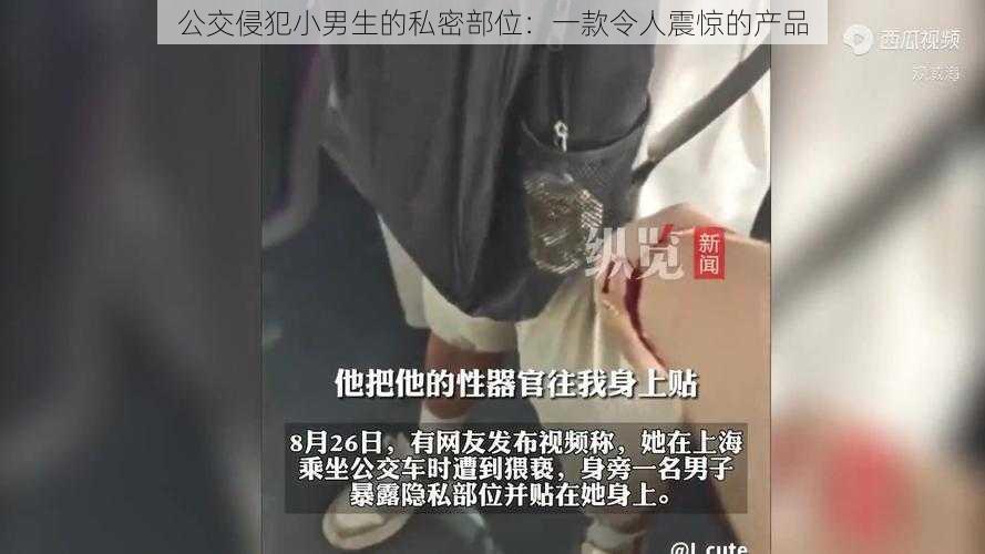 公交侵犯小男生的私密部位：一款令人震惊的产品