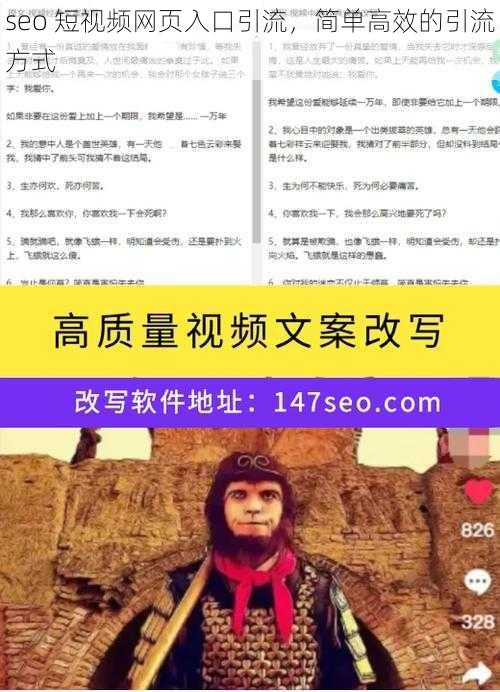 seo 短视频网页入口引流，简单高效的引流方式