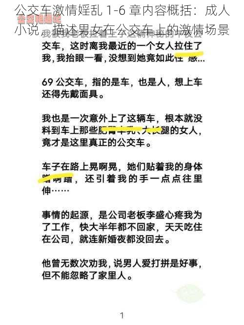 公交车激情婬乱 1-6 章内容概括：成人小说，描述男女在公交车上的激情场景