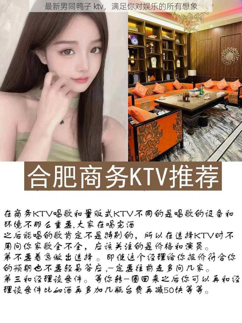 最新男同鸭子 ktv，满足你对娱乐的所有想象