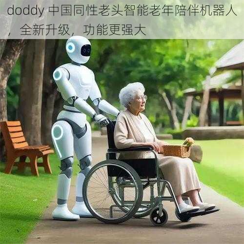 doddy 中国同性老头智能老年陪伴机器人，全新升级，功能更强大