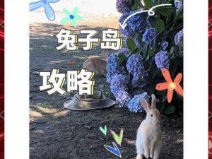 兔岛探秘：乐趣无穷的旅游胜地与海岛风情简介