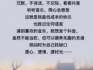 最后我不再纠结，热门抖音歌曲分享：释放心灵之歌名为《看淡风云心自由》