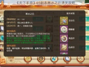 《天下手游》65副本寒冰之丘通关攻略