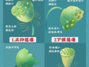 一笔画成第62关攻略详解：全卡通关技巧与步骤解析