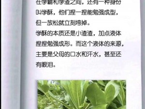 在化学实验室，学霸做哭学渣，原来这就是试管的秘密