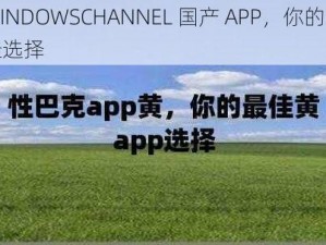 WINDOWSCHANNEL 国产 APP，你的最佳选择