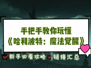 哈利波特魔法觉醒：深度解析任务攻略，关键在坚持几秒的战斗技巧