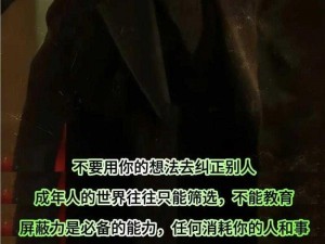 成人影视：带你领略不一样的世界