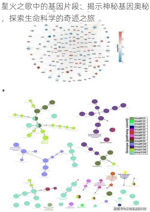 星火之歌中的基因片段：揭示神秘基因奥秘，探索生命科学的奇迹之旅