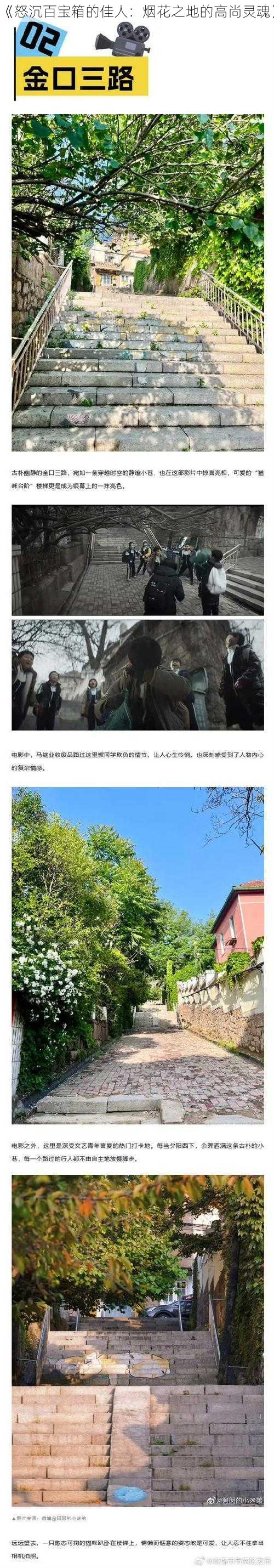 《怒沉百宝箱的佳人：烟花之地的高尚灵魂》