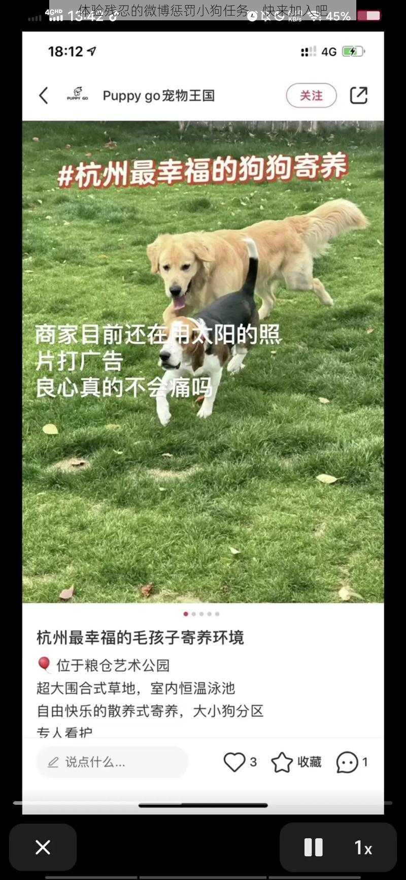 体验残忍的微博惩罚小狗任务，快来加入吧