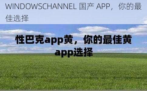 WINDOWSCHANNEL 国产 APP，你的最佳选择