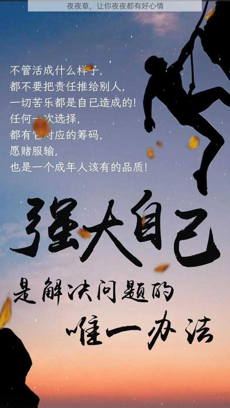 夜夜草，让你夜夜都有好心情