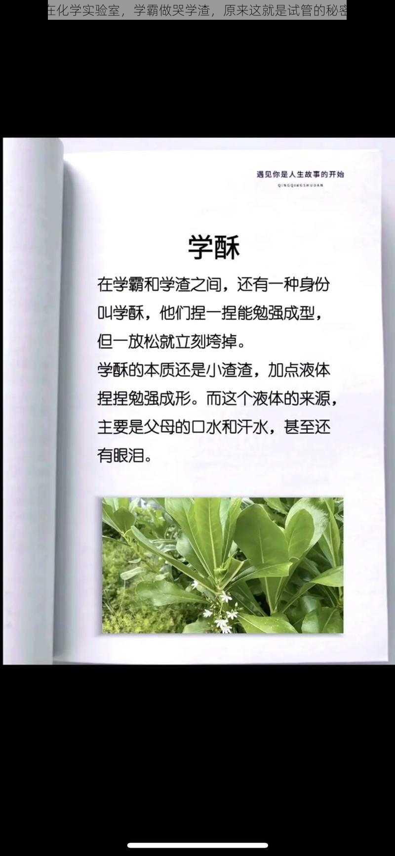 在化学实验室，学霸做哭学渣，原来这就是试管的秘密