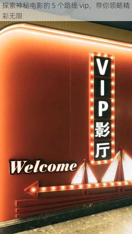 探索神秘电影的 5 个路线 vip，带你领略精彩无限