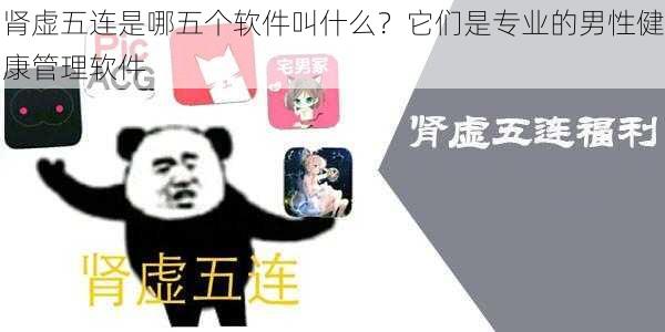 肾虚五连是哪五个软件叫什么？它们是专业的男性健康管理软件