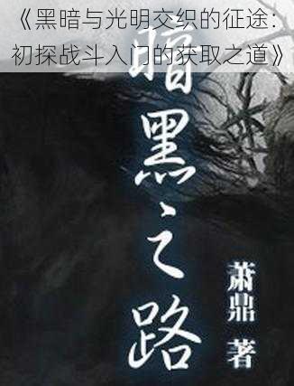 《黑暗与光明交织的征途：初探战斗入门的获取之道》