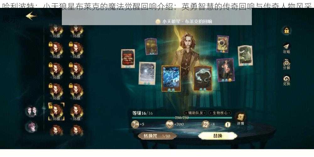 哈利波特：小天狼星布莱克的魔法觉醒回响介绍：英勇智慧的传奇回响与传奇人物风采展示