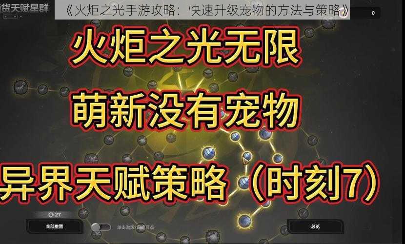 《火炬之光手游攻略：快速升级宠物的方法与策略》