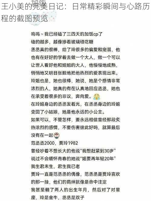 王小美的完美日记：日常精彩瞬间与心路历程的截图预览