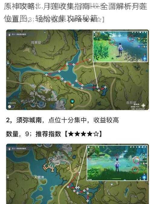 原神攻略：月莲收集指南——全面解析月莲位置图，轻松收集攻略秘籍